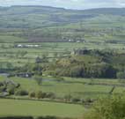 Dryslwyn Castle
