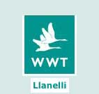 The Wildfowl & Wetlands Trust (WWT)